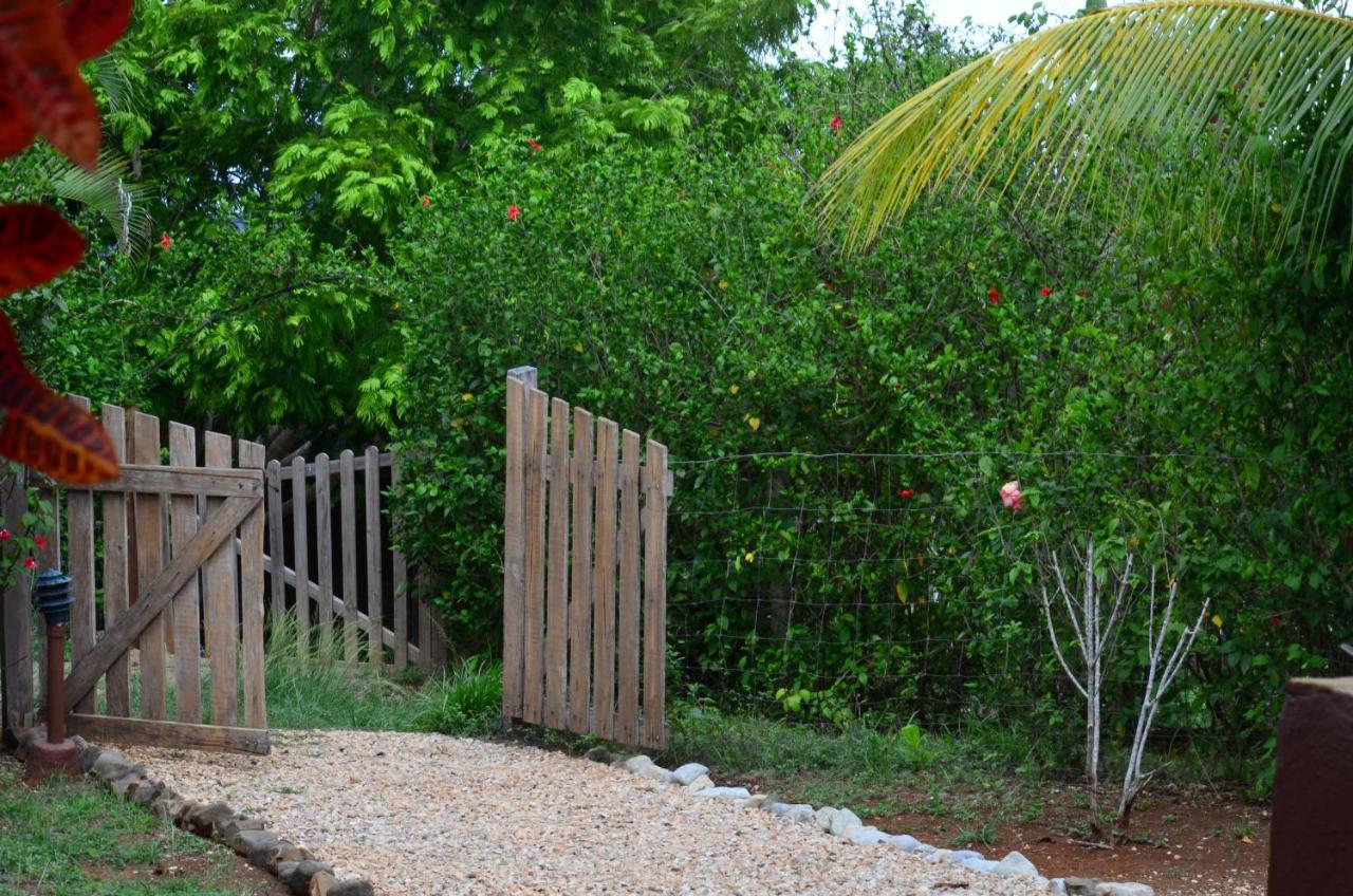 Montezuma Hills - Two Houses In A Private Compound Екстер'єр фото